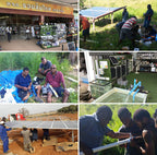 Solar Panel Full Kit 3inch 5hp 3hp Surface Irrigation 48v Borehole Deep Well Hybrid Solar Water Pump Ac Dc for Agriculture